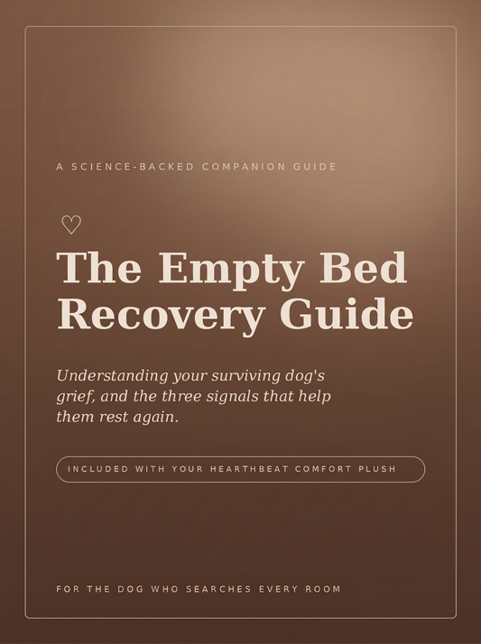 The Empty Bed Recovery Guide — Digital PDF